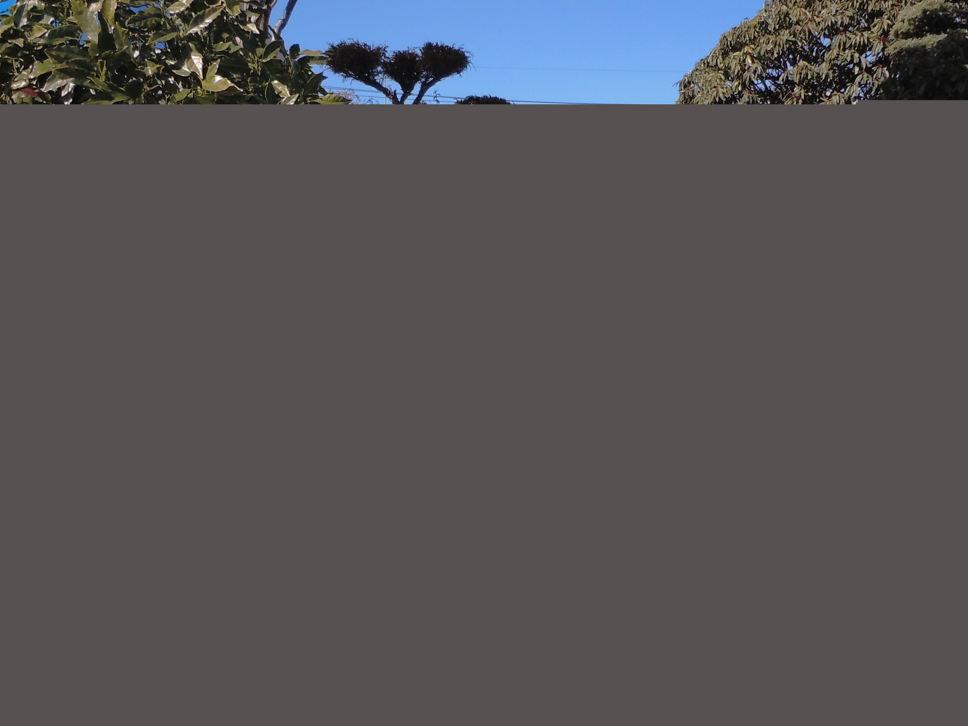 Źޤβ